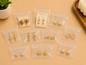 Earings